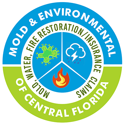 Mold And Environmental