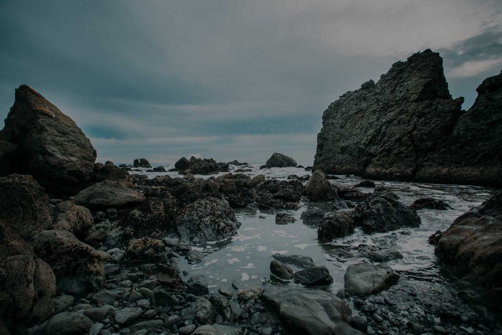 Coastal marine environment